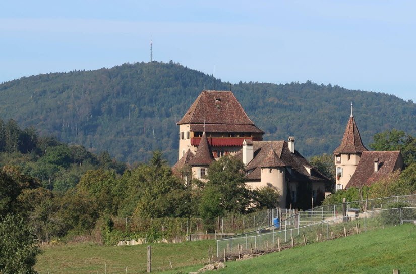 Alter Wildenstein, Germany, Germany